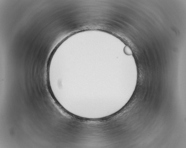 X0000110320894200907021159