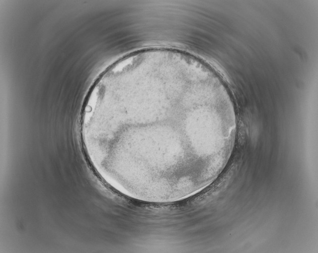 X0000110320895200907021159