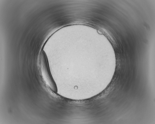 X0000110320900200907021159