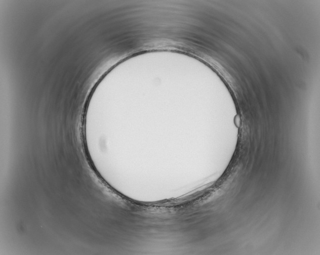 X0000110320901200907021159