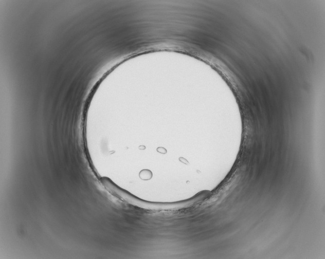 X0000110320902200907021159