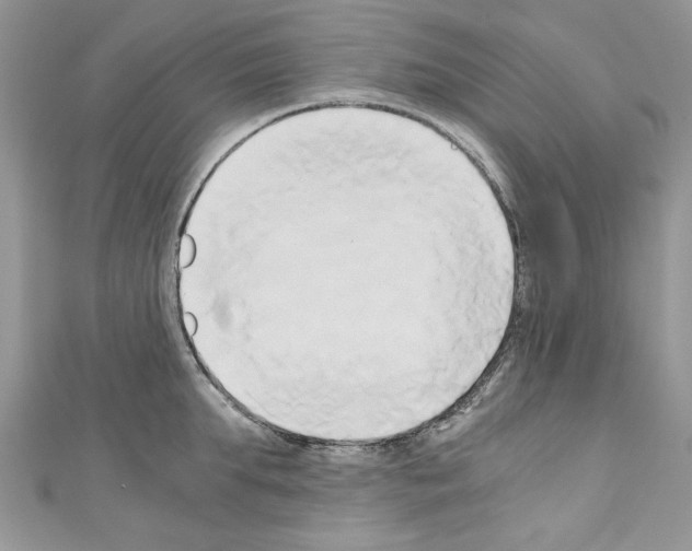 X0000110320903200907021159