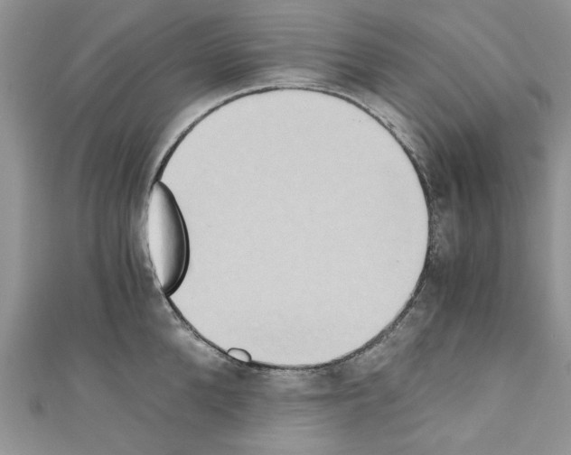 X0000110320904200907021159