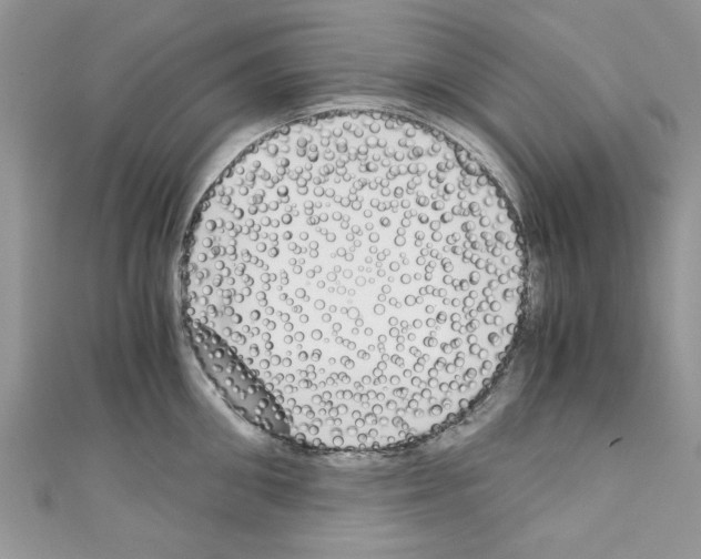 X0000110320906200907021159