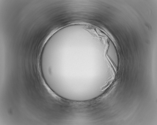 X0000110320909200907021159