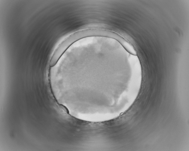 X0000110320912200907021159