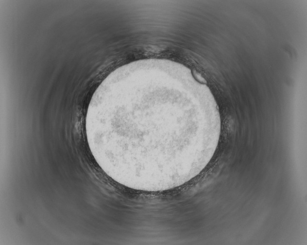 X0000110320914200907021158