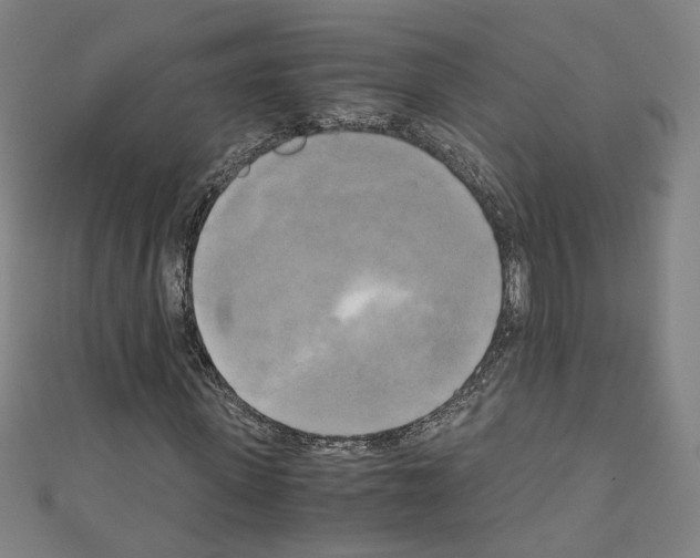 X0000110320915200907021158