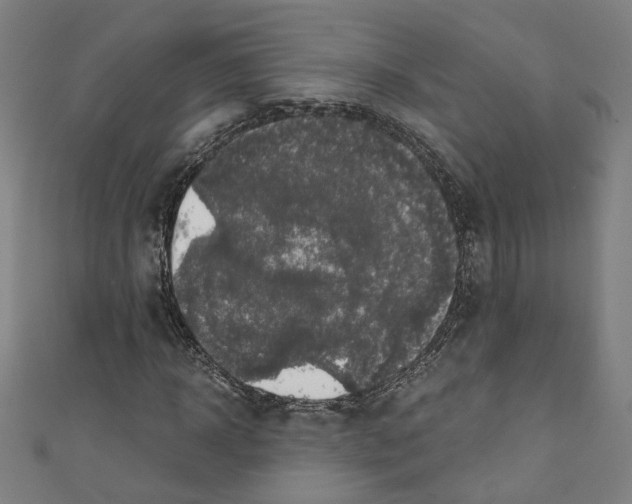 X0000110320918200907021158