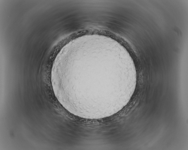 X0000110320919200907021158