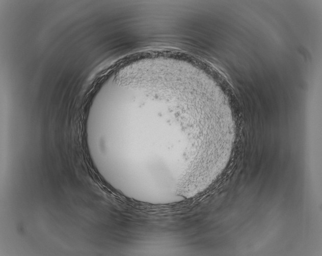 X0000110320920200907021158