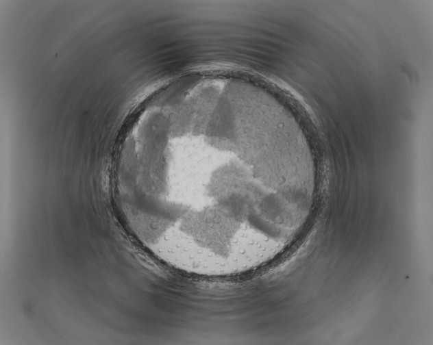 X0000110320921200907021158