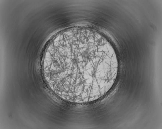 X0000110320923200907021158