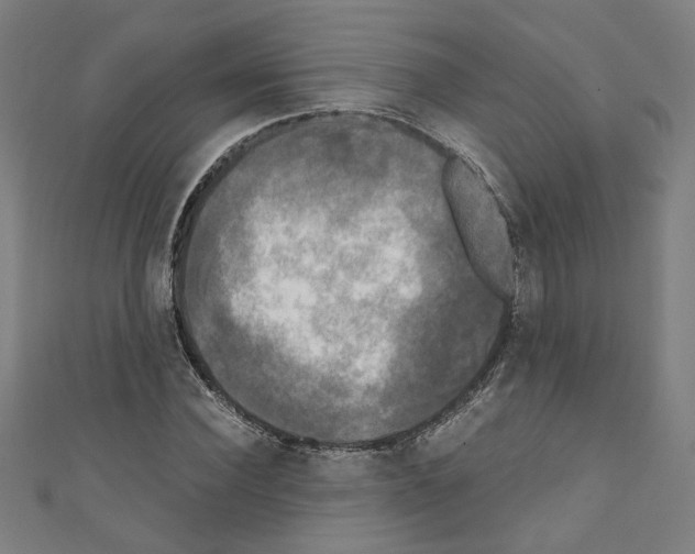 X0000110320924200907021158