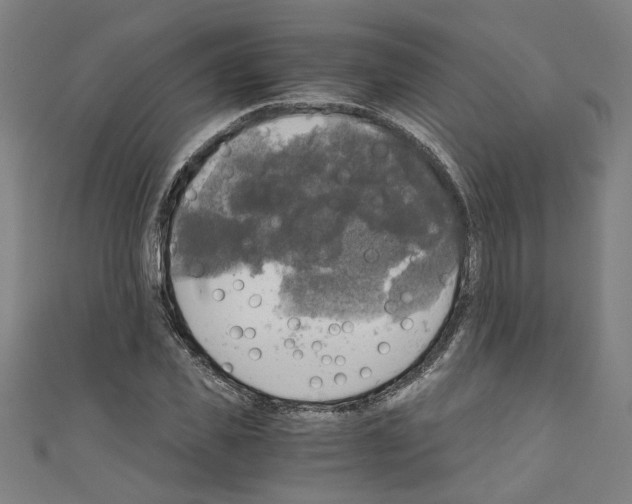 X0000110320925200907021158