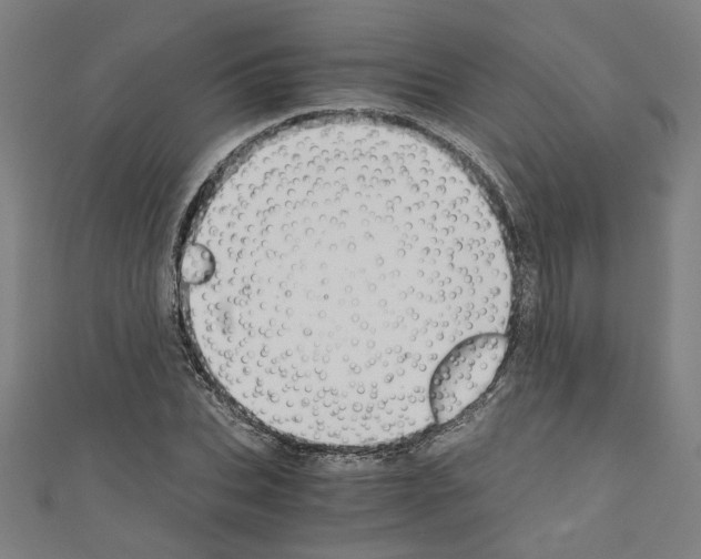 X0000110320927200907021158