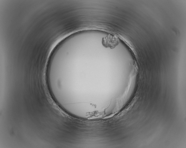 X0000110320928200907021158