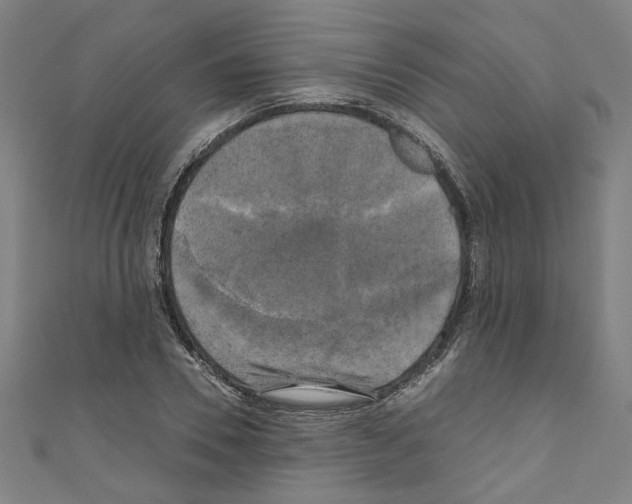 X0000110320930200907021158