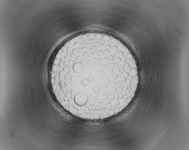 X0000110320931200907021158