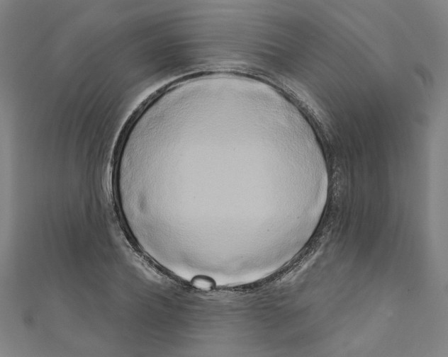 X0000110320932200907021158