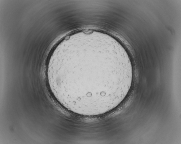 X0000110320933200907021158