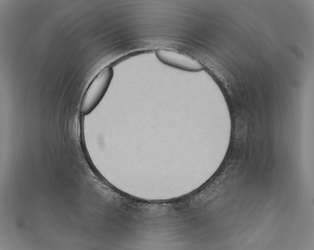 X0000110320936200907021158