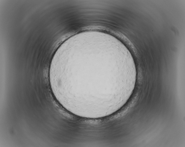 X0000110320937200907021158