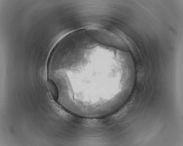 X0000110320940200907021158