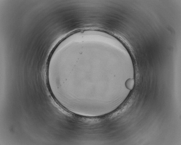 X0000110320941200907021158