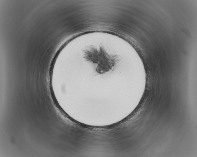 X0000110320942200907021158