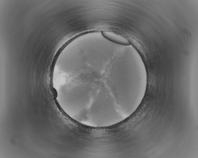 X0000110320944200907021158