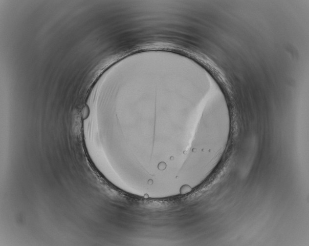 X0000110320945200907021158