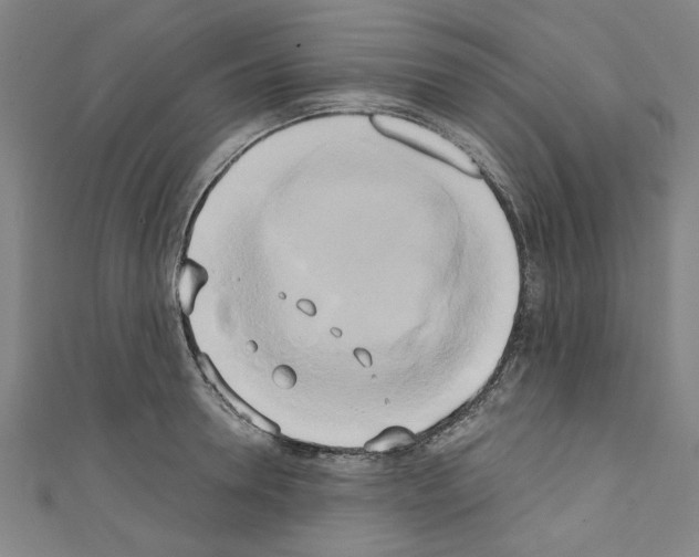 X0000110320946200907021159