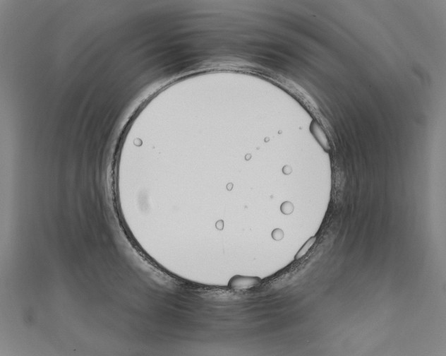 X0000110320947200907021159