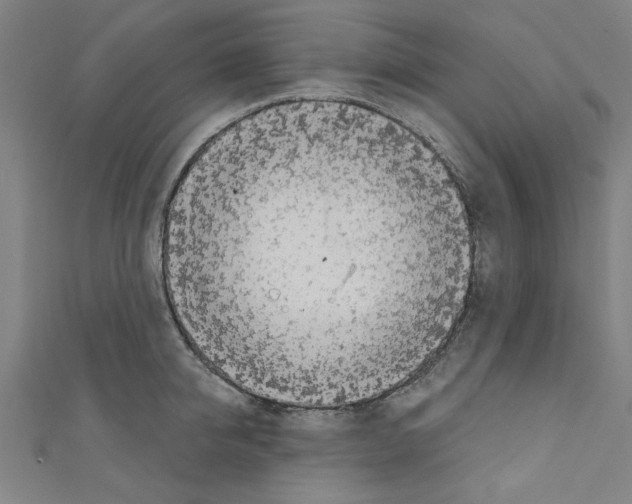 X0000110320950200907021159