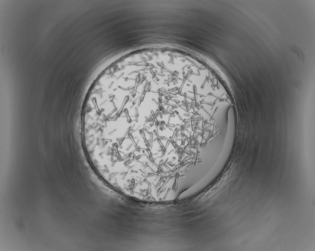 X0000110320951200907021159