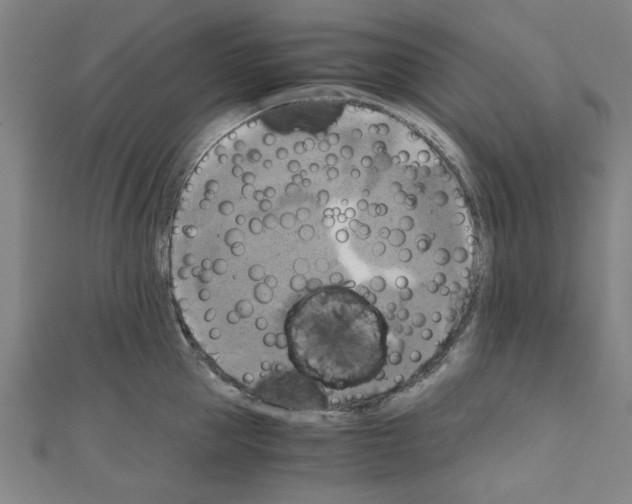 X0000110320953200907021159