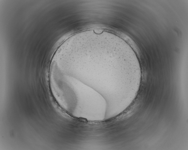 X0000110320954200907021159