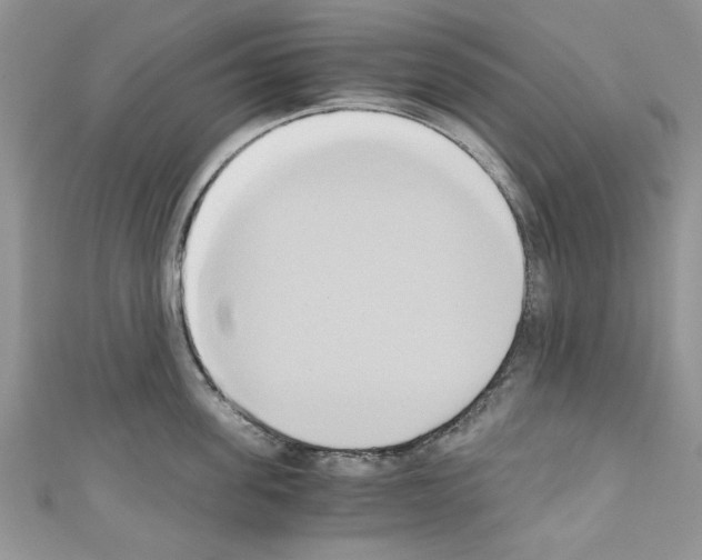 X0000110320955200907021159