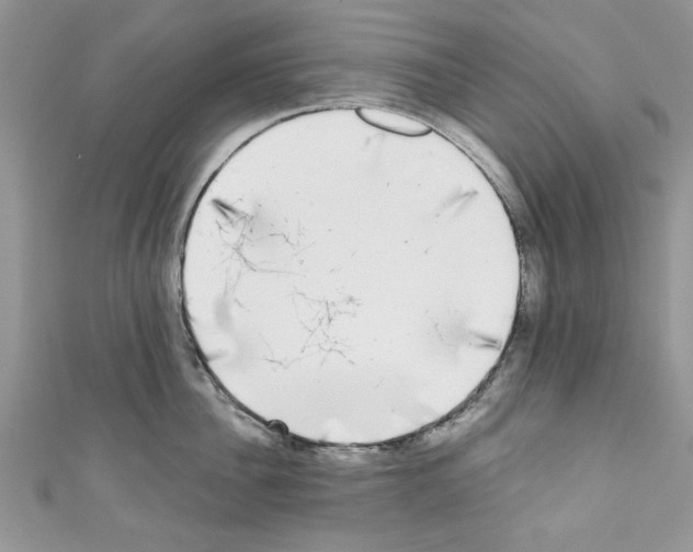 X0000110320956200907021159