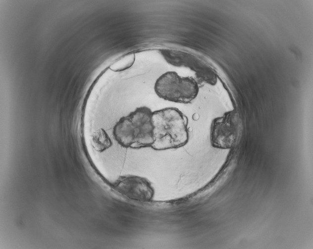 X0000110320957200907021159