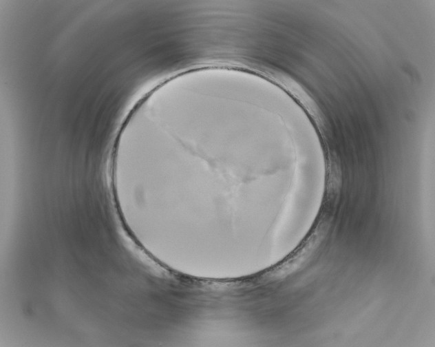 X0000110320958200907021159