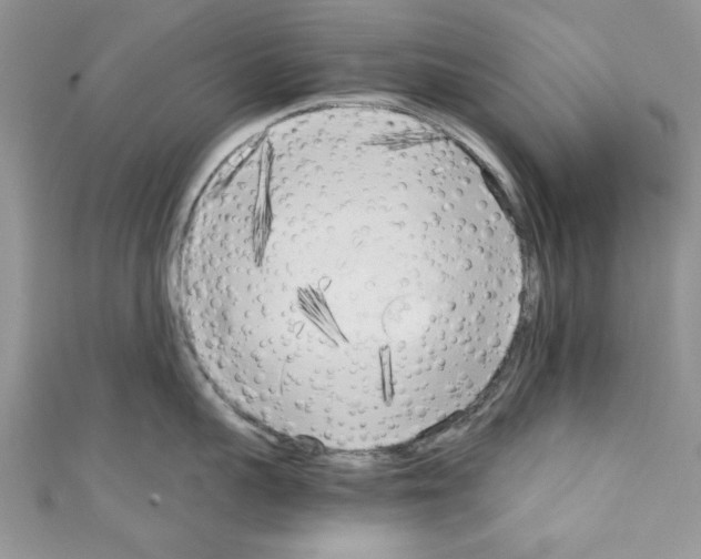 X0000110320959200907021159