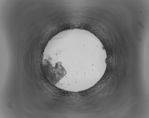 X0000110320961200907021158