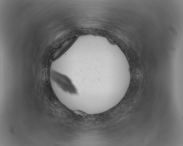 X0000110320965200907021158