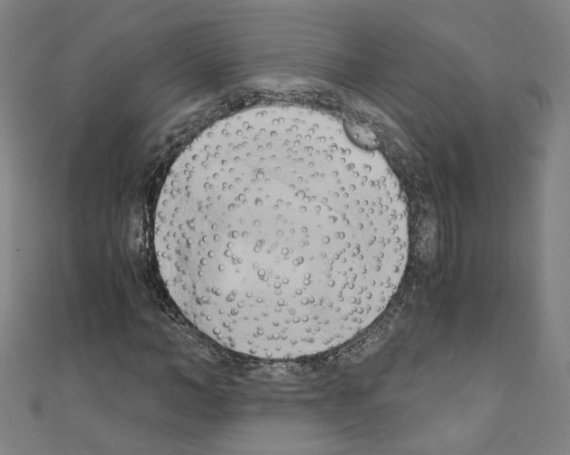 X0000110320966200907021158