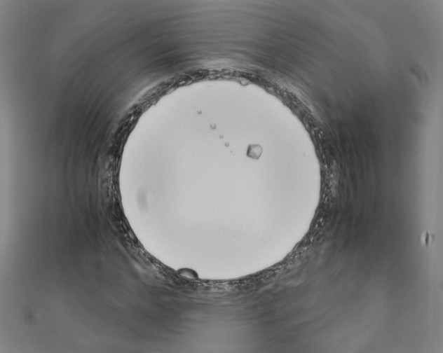 X0000110320968200907021158