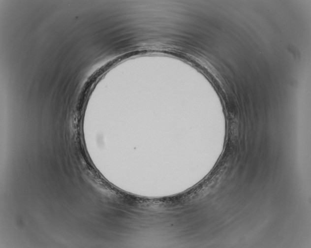 X0000110320971200907021158