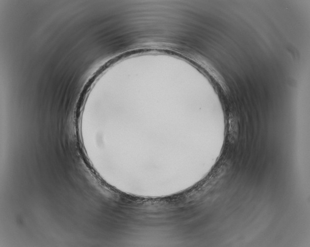 X0000110320972200907021158