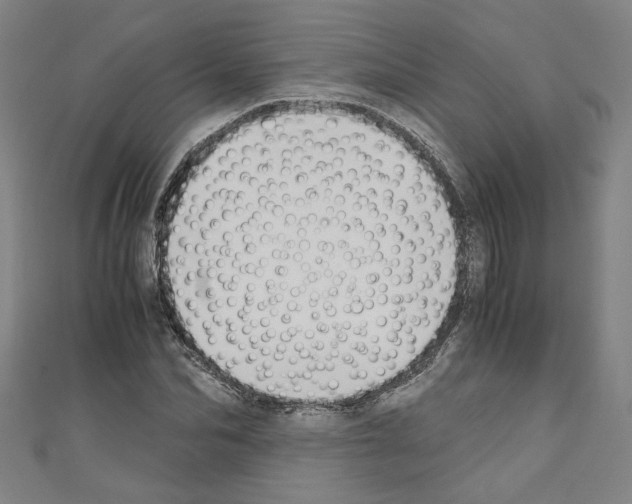 X0000110320974200907021158